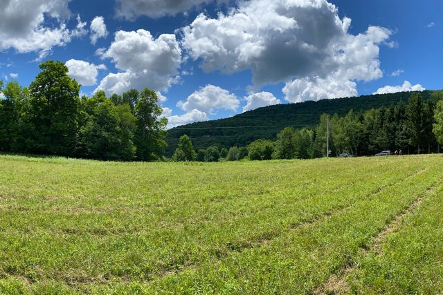 Open hayfield under a wooded ridge, summer 2020
