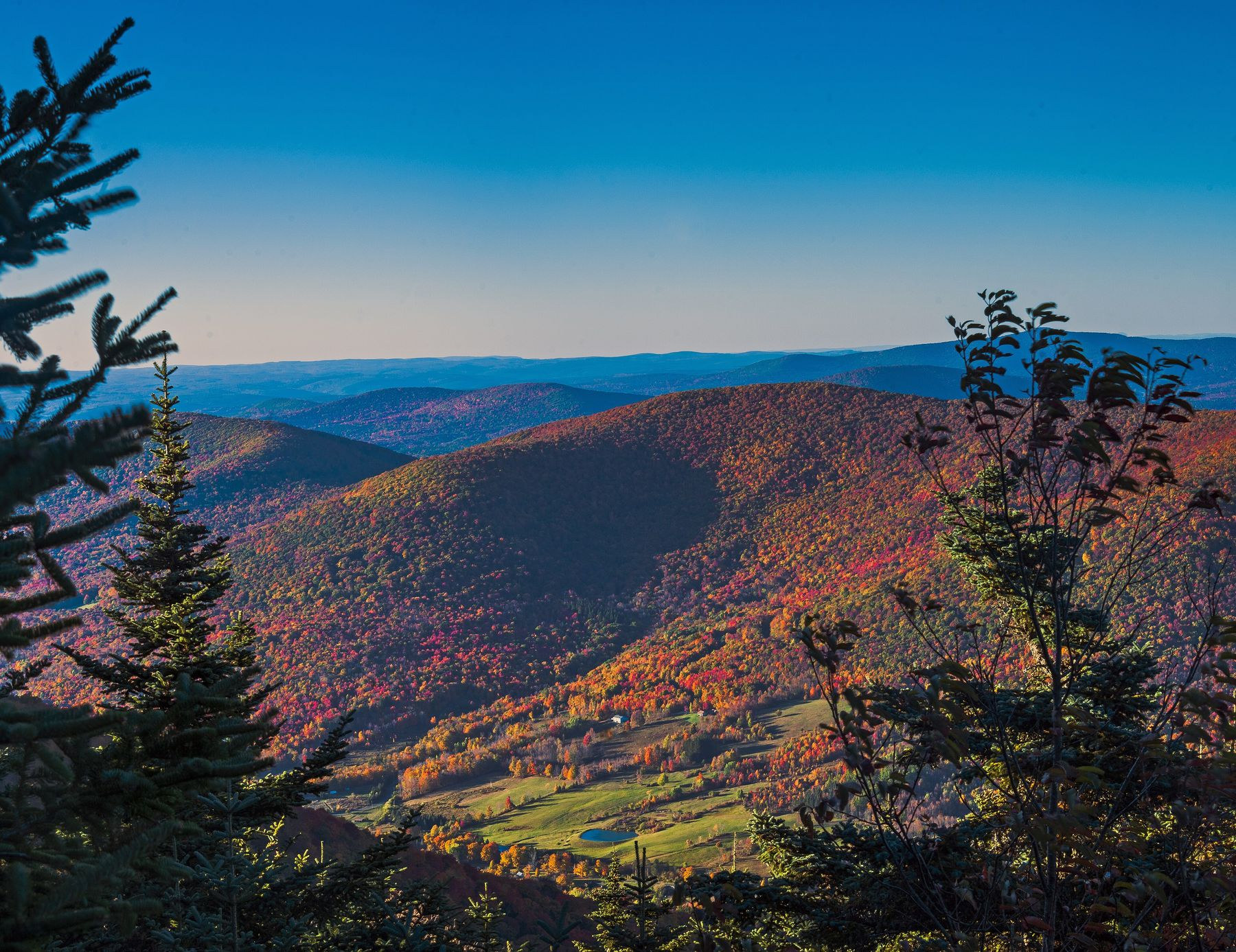 Autumn ridgelines rolling toward the horizon from a Catskills lookout