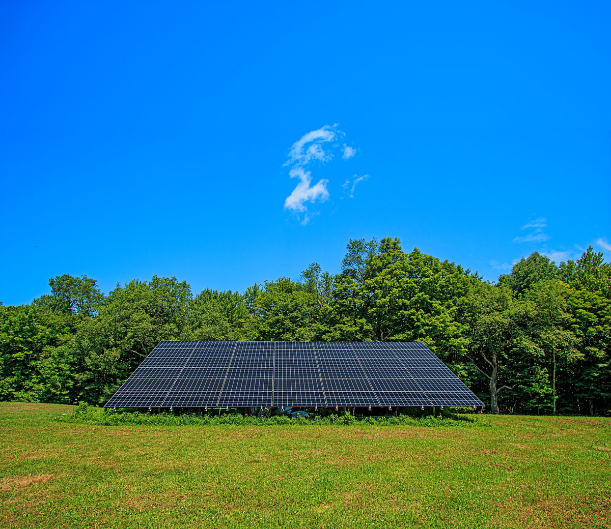 SOL’s 42-panel ground-mounted solar array on the meadow