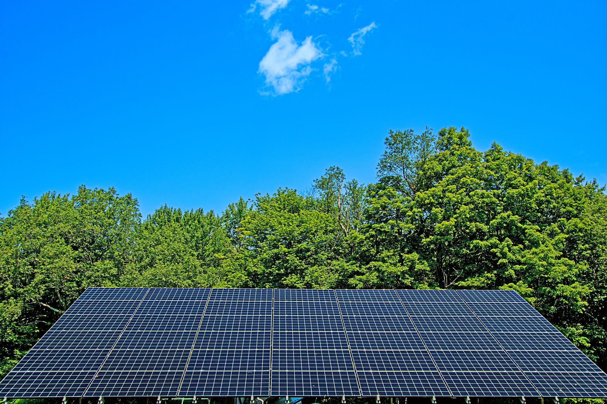 Rows of solar panels on the meadow under a summer sky
