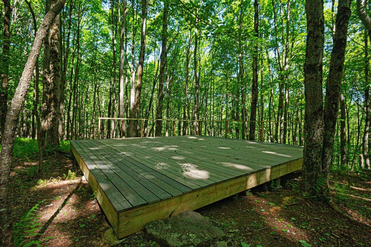 The Clearing: a wooden deck among tall hardwoods, dappled with sun