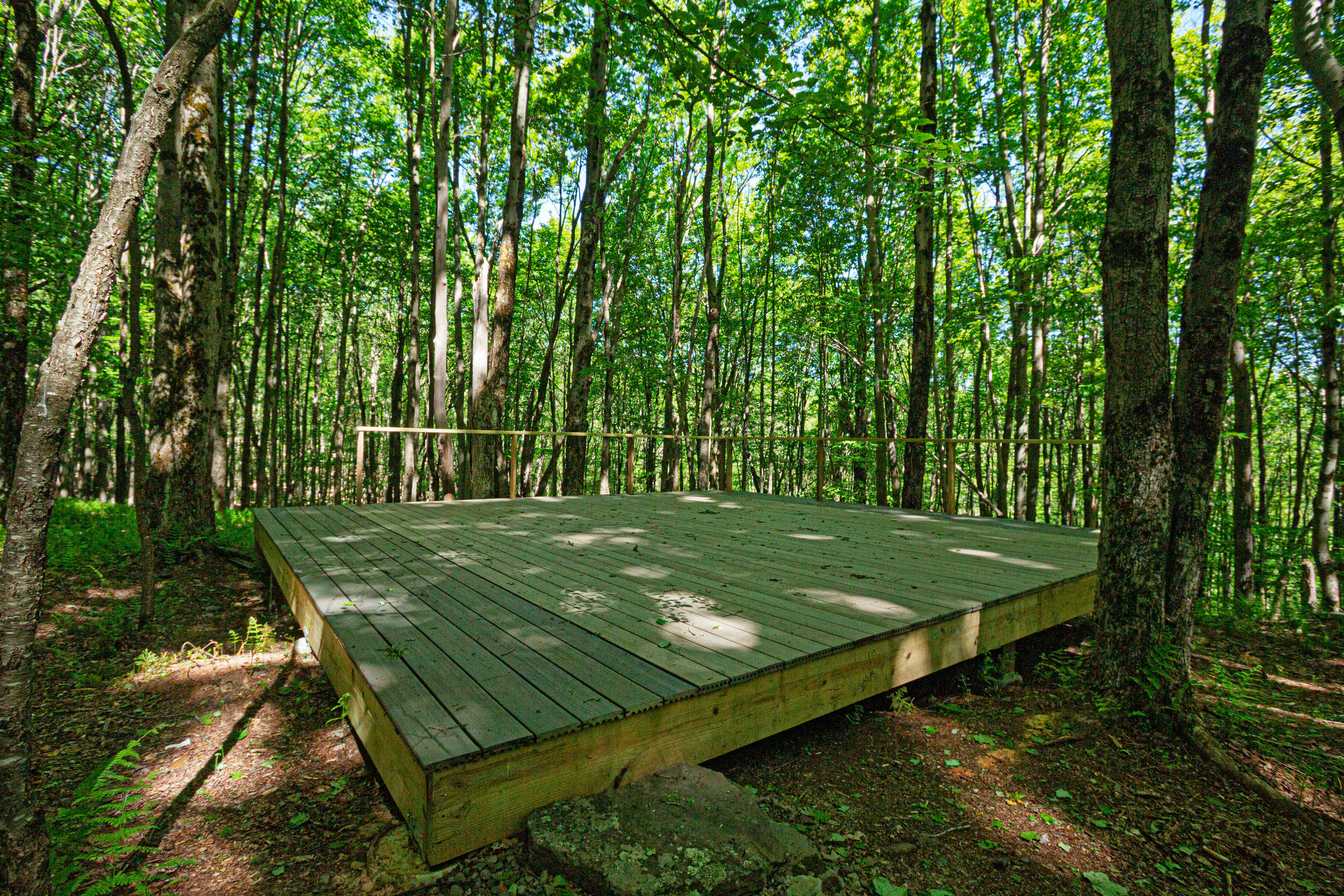 The Clearing: a wooden deck among tall hardwoods, dappled with sun