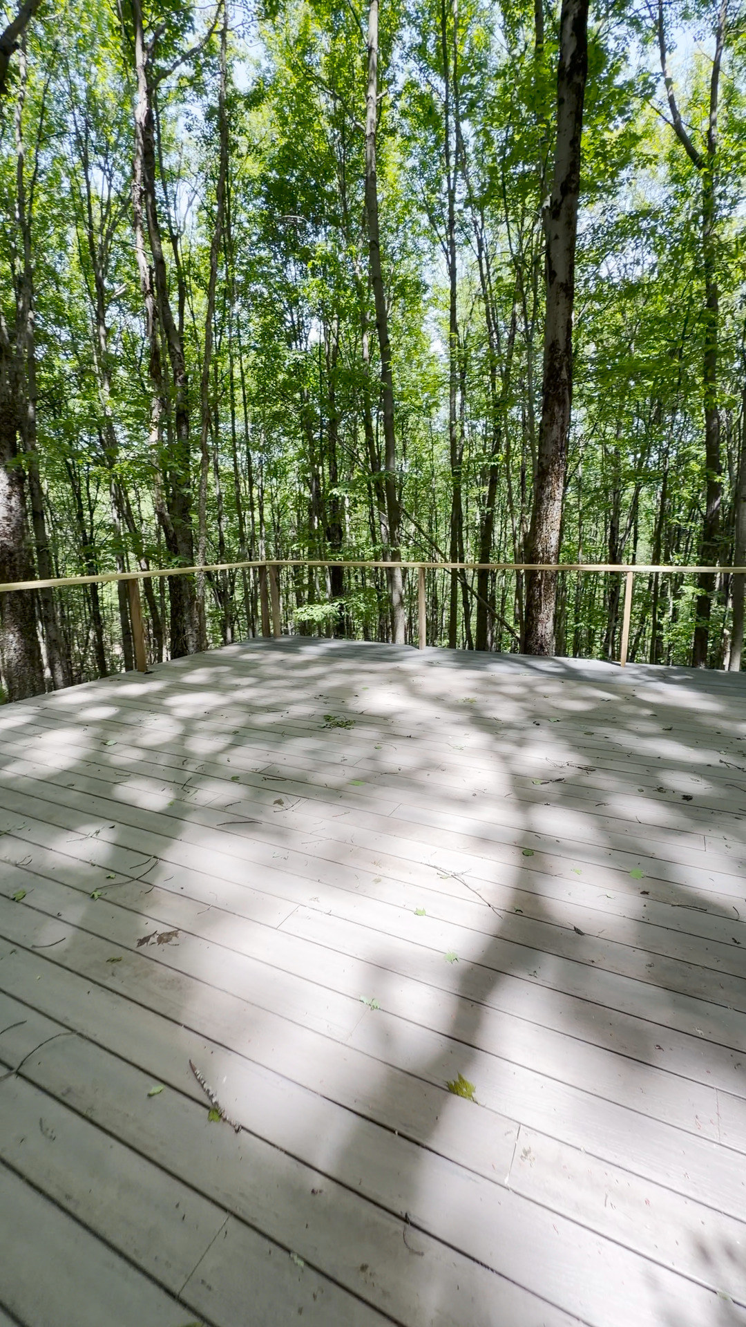 Dappled sunlight across the empty deck and its timber rail